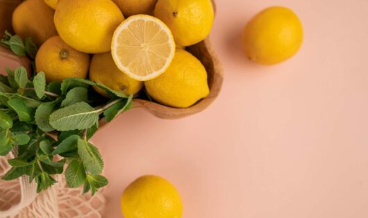 C vitamini deposu limon